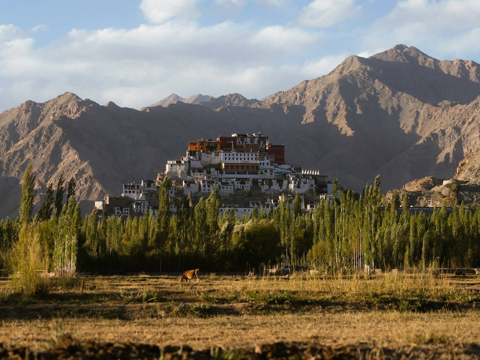 Thiksey Monastery trip view