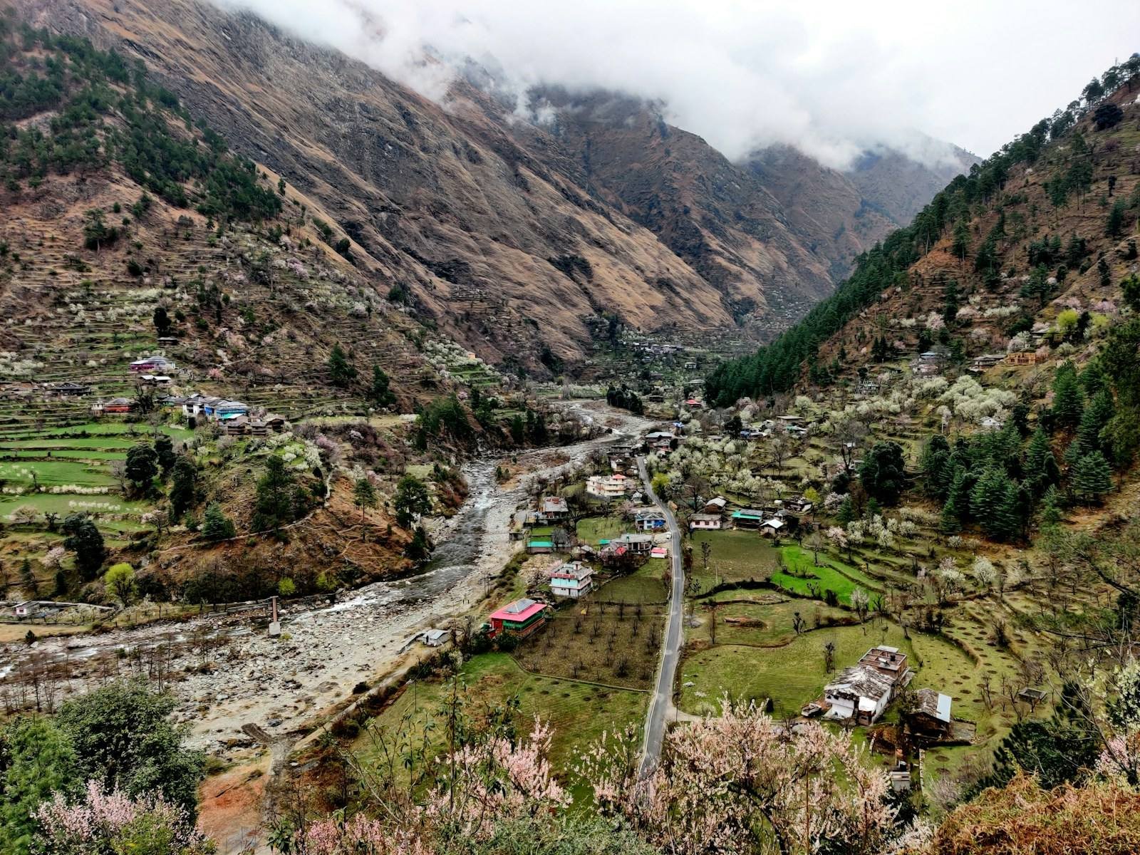 Jibhi Tirthan Jalori Pass package