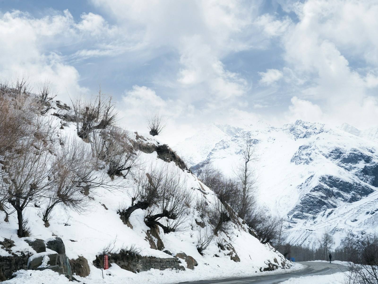Manali Sissu Kasol package
